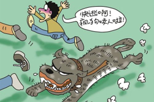 網(wǎng)站收錄在網(wǎng)站優(yōu)化中起到什么作用？