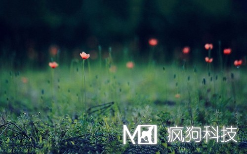 如何提高網(wǎng)站粘度，增加網(wǎng)站回頭客？