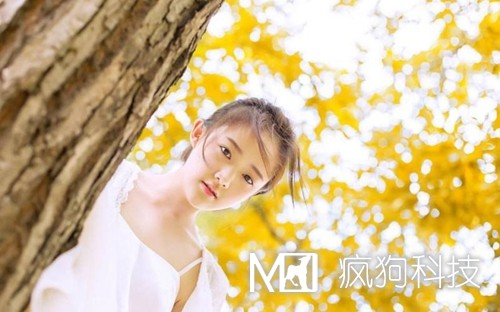 收藏：快速頁(yè)面收錄的六大絕技！